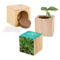 Pot cube bois Maxi de Noël - Epicéa - Epicéa