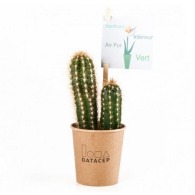 Cactus en gobelet carton personnalisable