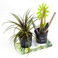 Duo de pots à crayons avec plante grasse publicitaire