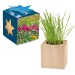 Pot cube bois Maxi en boite star-box - Mélange de fleurs d'été cadeau d’entreprise
