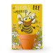 Carte nature - Fleurs des Abeilles à semer, abeille publicitaire