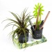 Miniature du produit Duo de pots à crayons avec plante grasse publicitaire 2