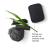 Miniature du produit Eponge konjac publicitaire au charbon 2