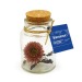 Miniature du produit Flacon fleurs séchées publicitaires 1